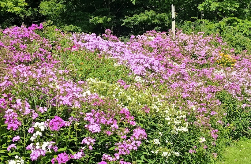 2026 Garden Report